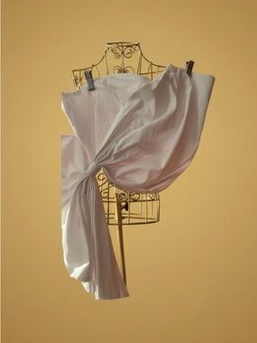 Elloquii White Bustier Bodice Top Bridal or Wear with Jeans size 20.